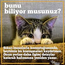 Ne Dersiniz Arastirmalar Sikici Insanlar Ve Zihnimizle Ilgili Yaniliyor Olabilir Mi Ilgincbilgiler Psikolojikbilgiler Psikoloji Biliyor Muydunuz Psikiyatri
