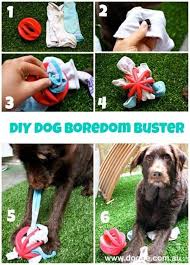 Dog toy cruncher · 2. 20 Diy Dog Toys You Can Make At Home