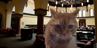 4k and hd video ready for any nle immediately. Mi University Of Toronto Student Life Programs Services Facebook