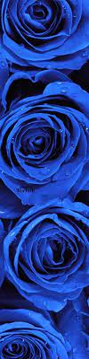 Pin On Blue 74 Shades