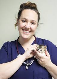 Meet the Bellville Team