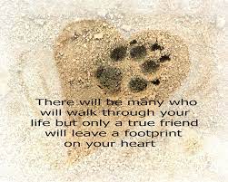 Most relevant best selling latest uploads. Dog Paw Print Photo Art Photograph By Ann Powell