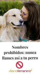 Nombres Prohibidos Nunca Llames Asi A Tu Perro Perros De Famosos Nombres De Perros Repelente Para Perros