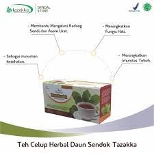 Tanaman ini memiliki kedekatan dengan fungsi sosial dan budaya. Jual Daun Sendok Terbaru Lazada Co Id