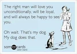 Pin By Andrea Lopez On Dog S Rock Ecards Funny Funny Quotes Make Me Laugh