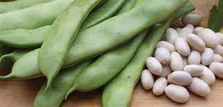 We did not find results for: Bean Italian Romano The Diggers Club