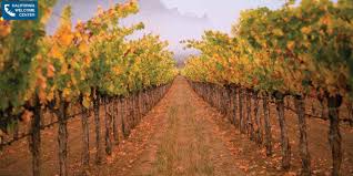 Centro De Bienvenida De California San Mateo Visit California