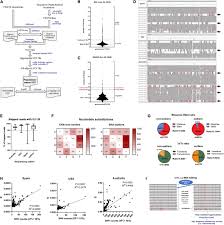 We did not find results for: Frontiers A Novel Sars Cov 2 Viral Sequence Bioinformatic Pipeline Has Found Genetic Evidence That The Viral 3 Untranslated Region Utr Is Evolving And Generating Increased Viral Diversity Microbiology