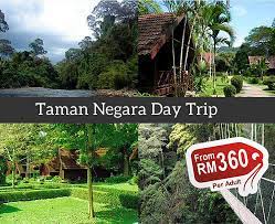 By shared or private transfer Taman Negara Day Tour Package From Kuala Lumpur Mytravellane