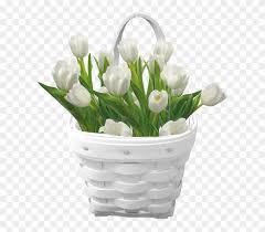 Maybe you would like to learn more about one of these? Tulip Clipart Basket White Tulip Flowers Png Transparent Png 600x655 5090692 Pngfind