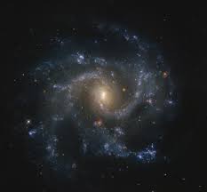 Ngc 1398 es una galaxia espiral barrada. Ngc 5468 Galaxy Shefalitayal
