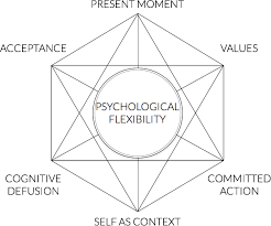 It incorporates acceptance and mindfulness strategies alongside change strategies, in recognition that change is not always possible or desirable. What Is Acceptance And Commitment Therapy Act Skills Training Therapy Worksheets Emdr Emdr Therapy