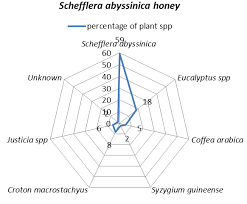 Image result for Achyrospermum schimperi