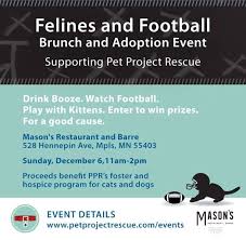 Since 2009, they have placed over 2,000 animals with their underdog rescue minnesota started with an adorable pitbull puppy, lucy, and a tiny toy poodle, lily, in 2000. Megan Schletty Megsne Twitter