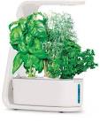 AeroGarden Sprout Garden System For Hydroponics, White Scotts