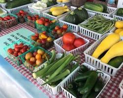 Image of Gonzales Farmers Market, Gonzales, Texas