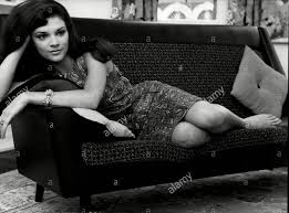 I create things, i observe things, and i have opinions about things. Trisha Noble S Feet Wikifeet