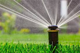 How to determine watering time per station. Seasonal Lawn Care Guide