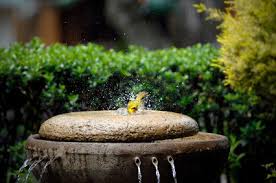 A fun part of birding is learning what providing water, especially moving water, attracts more birds to your yard. Attracting Birds To Your Feeder Yard Envy
