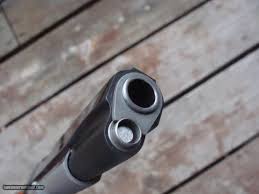 Image result for Valencia Gold 1988 Colt