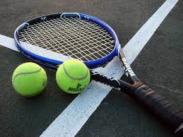 Apa itu makna kata (semantik)? Line Judge Definisi Line Judge Dalam Kamus Corsica