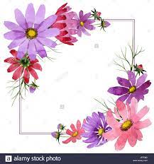 Disegni Di Cornici Di Fiori Da Colorare Cerca Con Google Cornice Di Fiori Cornici Specchio Fai Da Te