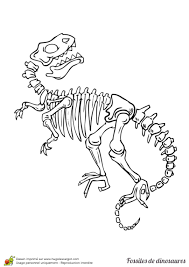 Malvorlage dino skelett dinosaurierskelett ausmalbild malvorlage dinosaurier. Coloriage Fossile Dinosaure Gros T Rex Dinosaurart Coloriage Fossile Dinosaure Gros T Rex Easy Dinosaur Drawing Dinosaur Coloring Pages Dinosaur Drawing