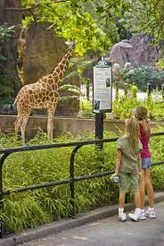 Philadelphia Zoo Philadelphia Zoo Media Official Philadelphia Tourism Pressroom Philadelphia Zoo Visit Philadelphia Visit Philly