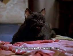 Image About Tumblr In Big Mood By Willow L On We Heart It Cat Quotes Funny Funny Memes Salem Saberhagen