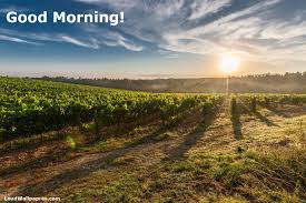 Beautiful Good Morning Village Images Hd For Free Download Multiple good morning photos available. good morning village images hd