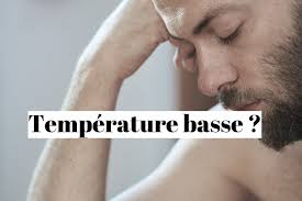 Chez l'humain, une température interne de 37 °c est communément admise. Temperature Corporelle Basse Et Fatigue Quelle Solution