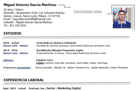 Una de las búsquedas más recurrentes en internet es referente a los curriculum vitae, pero es importante mencionar que muchas veces se obtienen resultados no deseados. Creator Of Curriculum Vitae By Miguelgarcia Mx Fiverr