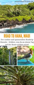 The hana highway weaves along the northeast coast of maui, and it's well this tour is the best excursion offered on maui's road to hana which is one of the most popular tour destinations in hawaii. Road To Hana Maui Auf Der Schonsten Route Hawaii S Entdecken