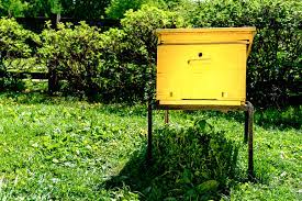 Bienen im garten halten und honig im eigenen garten ernten. Bienen Im Garten Halten So Fuhlen Sie Sich Richtig Wohl