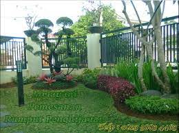 Harga rumput gajah per kg terbaru bulan ini. Harga Rumput Gajah Mini Rumput Gajah Mini Varigata Dan Perbedaannya Atmago