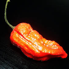 Check spelling or type a new query. Bringing The Heat Ghost Chili Mango Hot Sauce Recipe