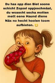 What does the Plautdietsch word 'schien' mean?