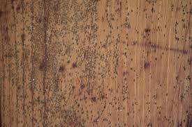 Mold on the bathroom ceiling. How To Remove Mold From A Wooden Ceiling Hgtv