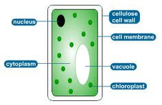 We did not find results for: 73 Best Gcse Tuition Images English Literature Chemistry Biology