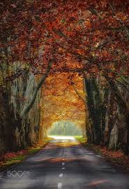View the player profile of andras schafer (dun. Autumn Road By Andy58 Andras Schafer 500px Road Landscape Autumn Scenes
