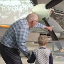 Image result for Microsorum pappei