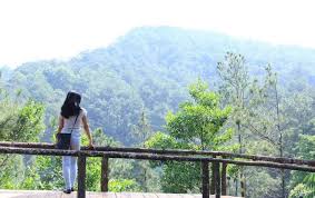 Wisata alam gunung benteng pabangbon. Panorama Pabangbon Leuwiliang Rumah Pohon Bogor Wisatalah Com