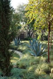 Ornamental Grass Is A Low Maintenance Drought Resistant Plant Wonder Ornamental Grass Landscape Landscape Design Mediterranean Landscaping