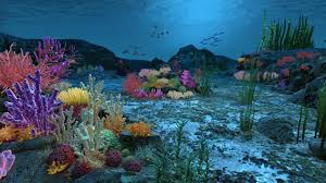 Ocean Floor Coral Reefs 3d Max Sea Life Wallpaper Underwater Painting Ocean Creatures