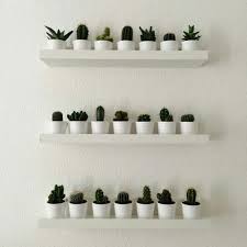 Ikea Mosslanda With Plants Jpg 564 564 Slaapkamerideeen Huisinrichting Ikea