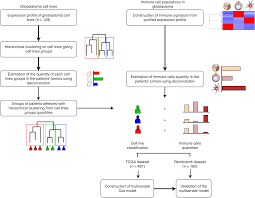 Isologous cell lines — isologous cell lines. Cell Lines And Immune Classification Of Glioblastoma Define Patient S Prognosis British Journal Of Cancer