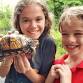 Rockin' Reptiles & Awesome Amphibians