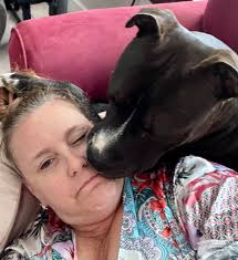 This might be a shot in the dark. Currently in a tough situation and trying  to ask for guidance or help. We have two 7 months old litter mate pups.  They're lab/pit-terrior