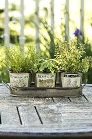 Plant Your Herbs In This Vintage Inspired Herb Pots With Tray Herb Pots Vintage Garden Garden Pots