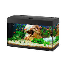Aquarium siap dipasang di ruangan rumah. Jual Aquarium Kaca Perlengkapan Kolam Boyu Ruparupa